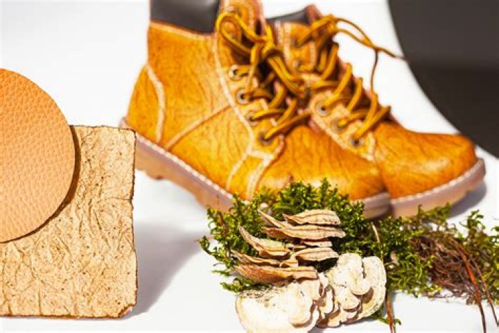 'Mushroom Leather' Made From Fungi Could Be Self-Repairing