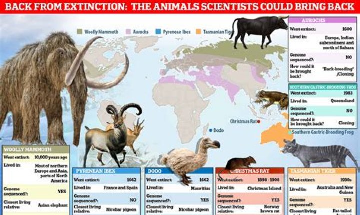 15 Cannibal Animals That Scientists Have Observed In The Wild