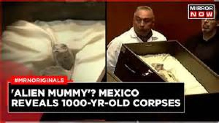 160-Year-Old New York City Mummy Finally Identified
