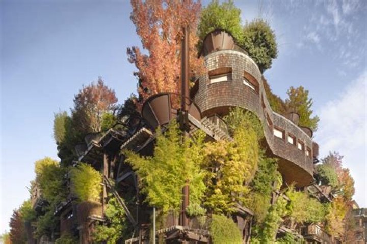 25 Verde, The Urban Treehouse That's Cooler Than Any Apartment