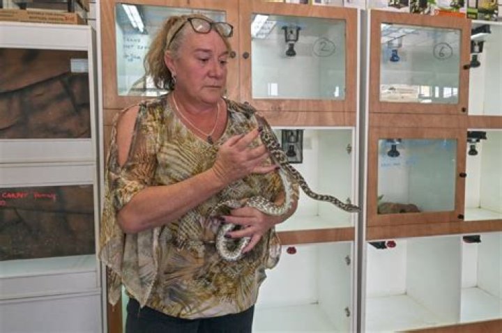$40,000 Worth Of Insects and Reptiles Stolen From Insectarium