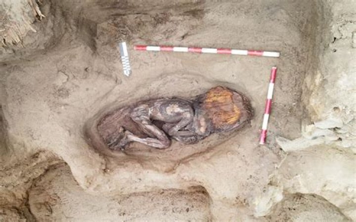 9,000-Year-Old Remains Of Female Hunter Found In Peru