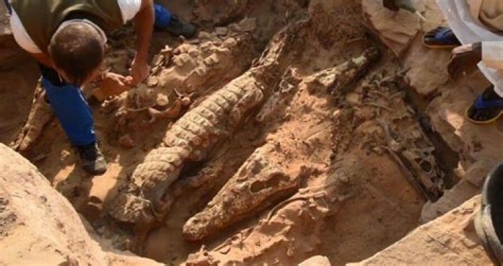 9 Archaeology News Stories From 2023 That Reshaped History