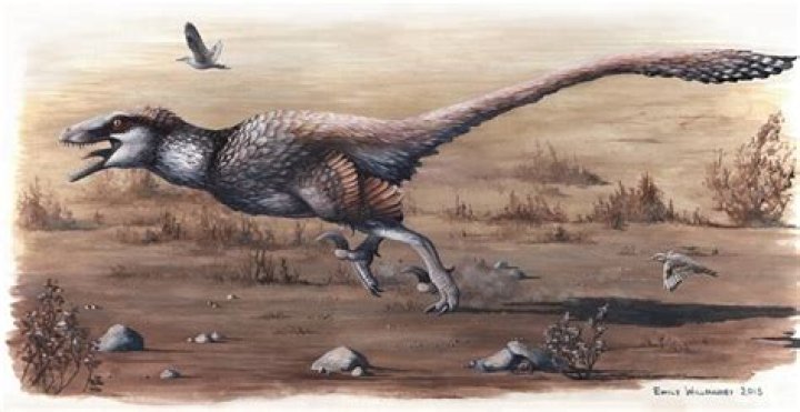 A 16-Foot Long Killing Machine With Wings