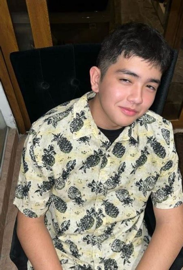 Andrei Sison (Actor) Wiki, Age, Parents, Car Accident, Death, Siblings, Biography & More