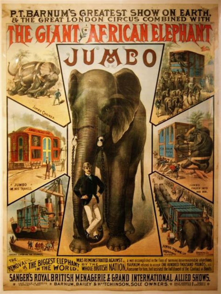 How Jumbo The Elephant Went From 