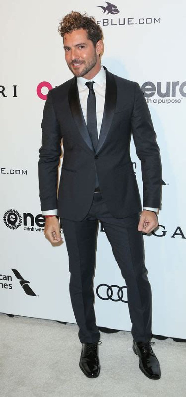 How tall is David Bisbal