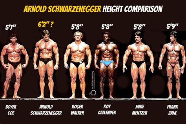 How tall was Alan Napier