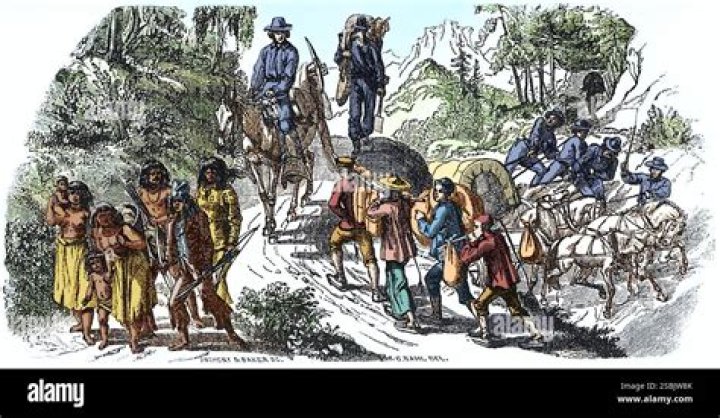 Ireland Returns Historic Favor, Helps Native Americans During Pandemic