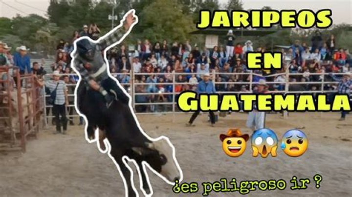 Los Jaripeos Youtuber overview