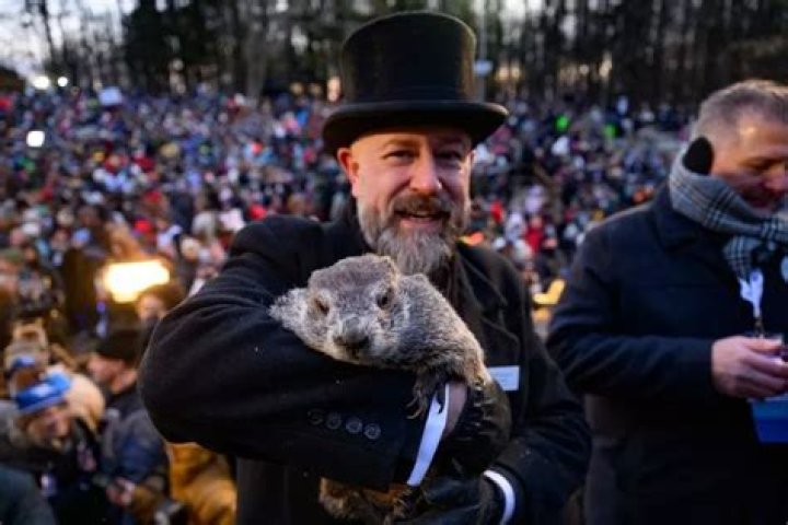 Man Caught Masturbating In Public Blames Incident On Groundhog