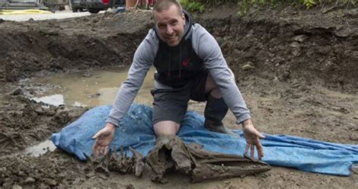 Man Finds Prehistoric Dolphin Bones While Digging Pool For Kids