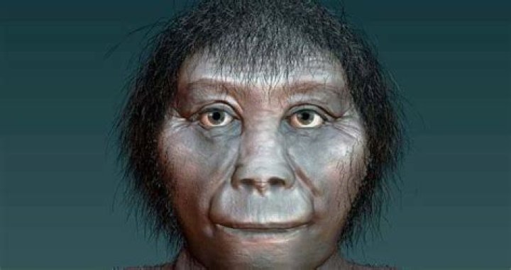 Meet The Early Human Hobbit Known As Homo Luzonensis