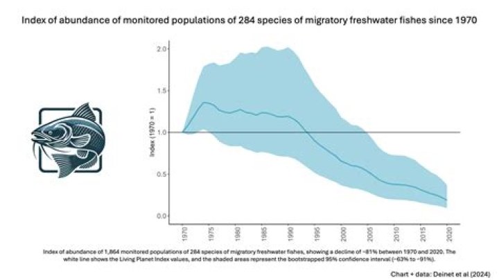 Montana Faces 'Zombie' Trout Threat As Populations Decline