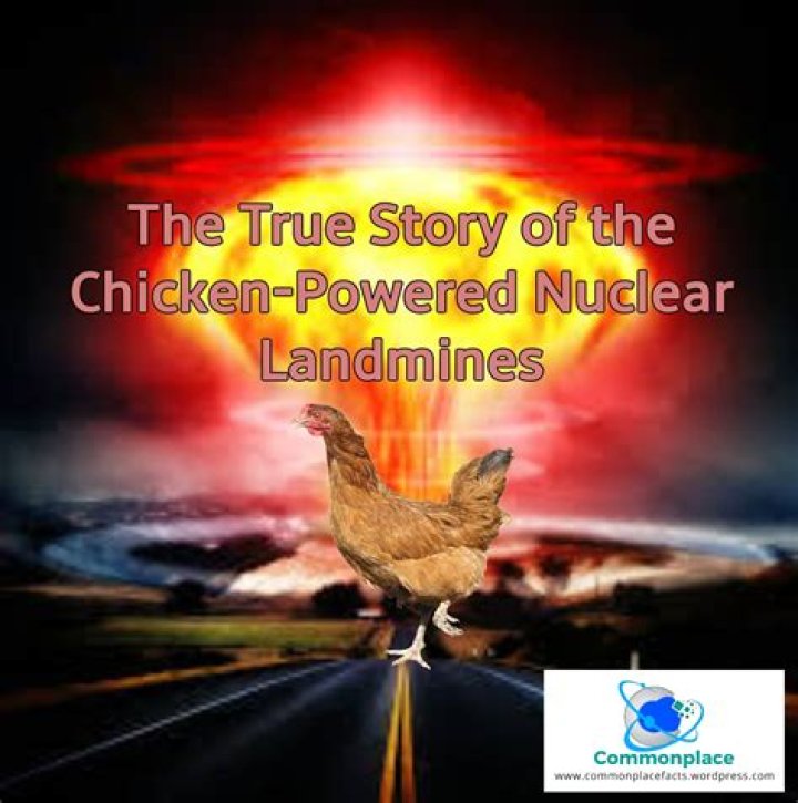 Nuclear Landmines Powered By Chickens
