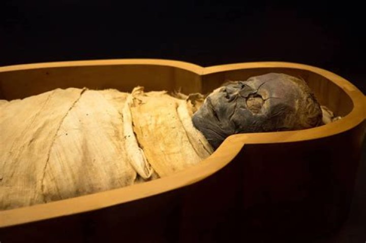 Scientists Recreate Voice Of 3,000-Year-Old Egyptian Mummy