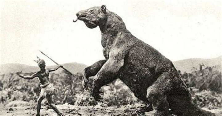 The Giant Sloth Said To Still Roam The Amazon