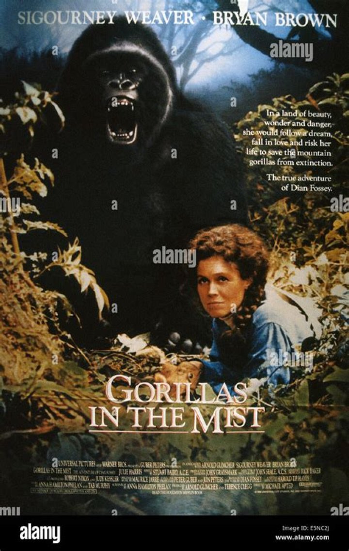 The Heroism Of Dian Fossey And Her Efforts To Save The 