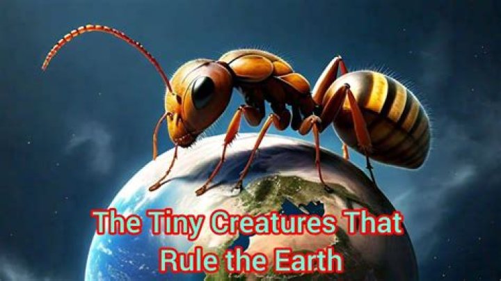 The Tiny Creatures That Rule The Earth